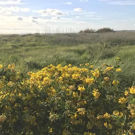 Un Avec Jardin A 1km De La
