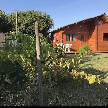 Alpehytte Un Avec Jardin A 1km De La